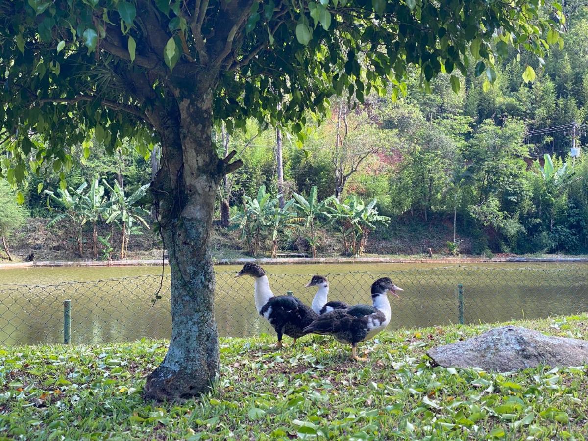 Hotel Fazenda Bonanza Engenheiro Paulo de Frontin Luaran gambar