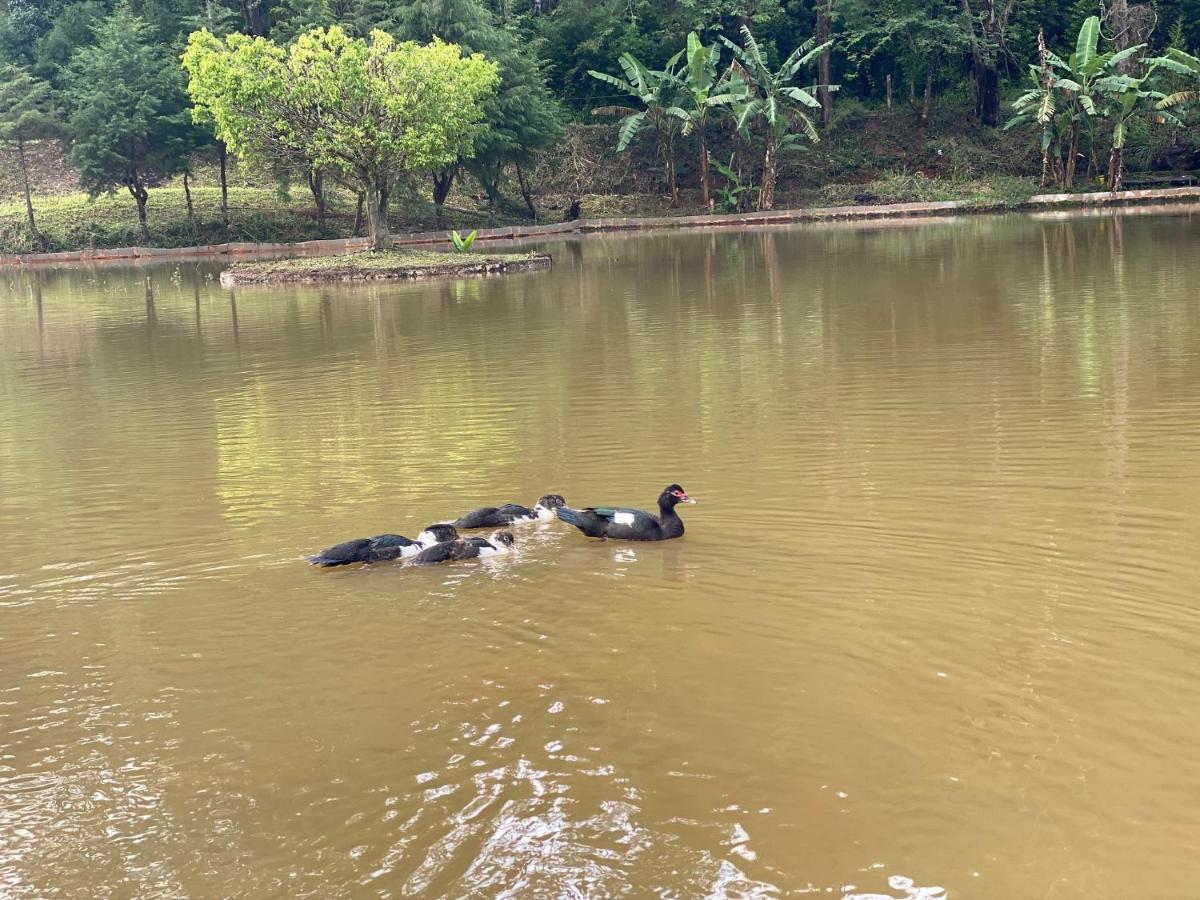 Hotel Fazenda Bonanza Engenheiro Paulo de Frontin Luaran gambar