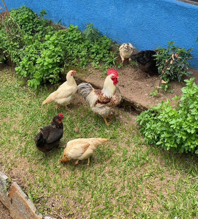 Hotel Fazenda Bonanza Engenheiro Paulo de Frontin Luaran gambar