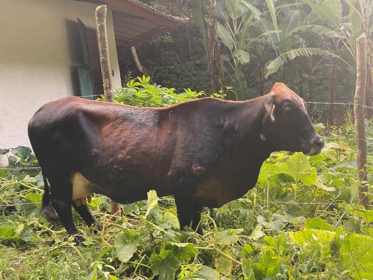 Hotel Fazenda Bonanza Engenheiro Paulo de Frontin Luaran gambar